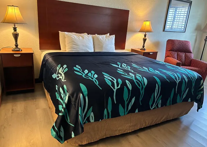 Hotel Bien Venido